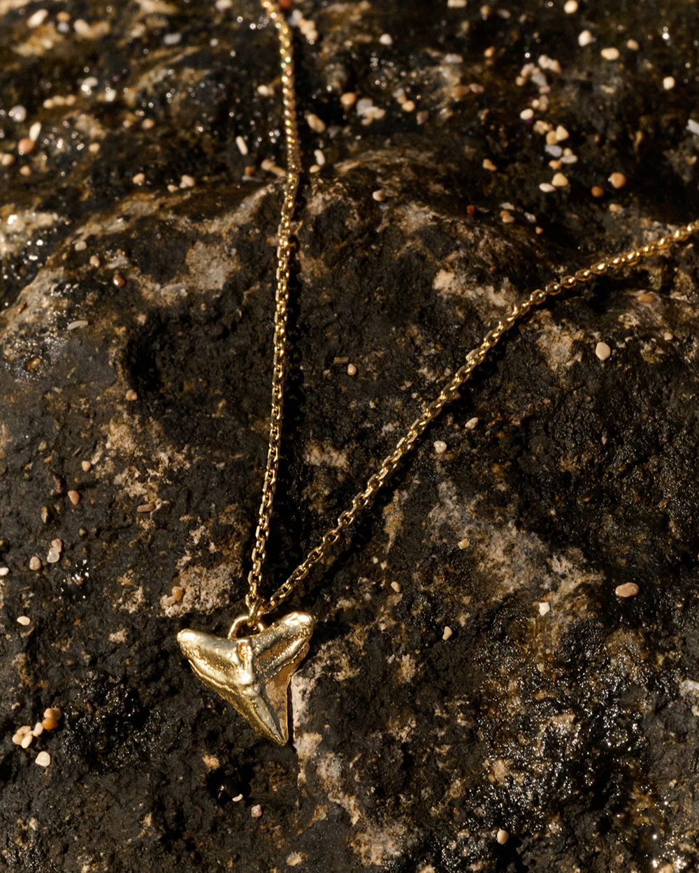 Jaws curb chain necklace - Gold