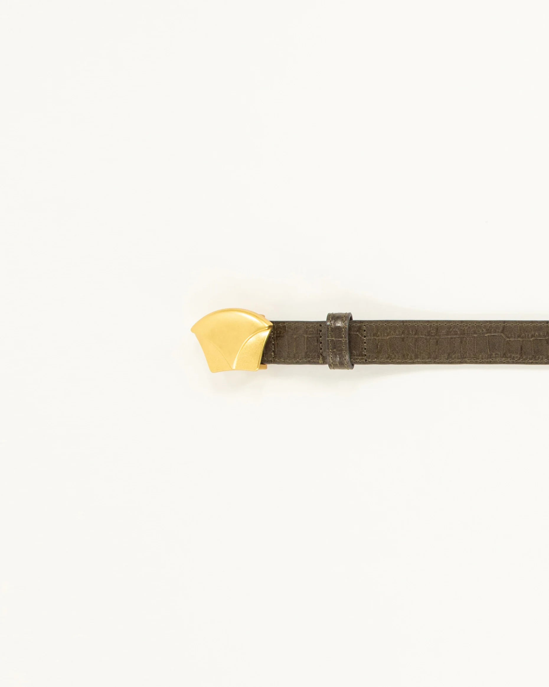 Diviluz belt - Croco lichen